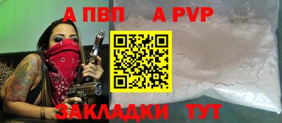 спиды Кингисепп