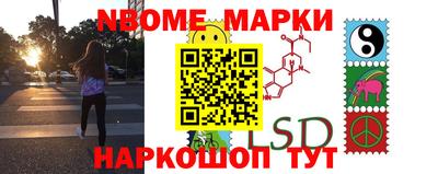 спиды Кингисепп