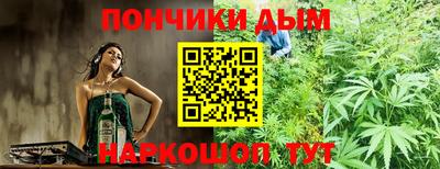 спиды Кингисепп