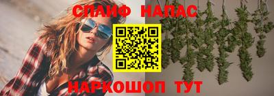 спиды Кингисепп