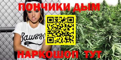 спиды Кингисепп