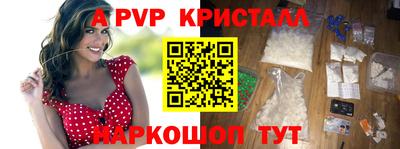 спиды Кингисепп
