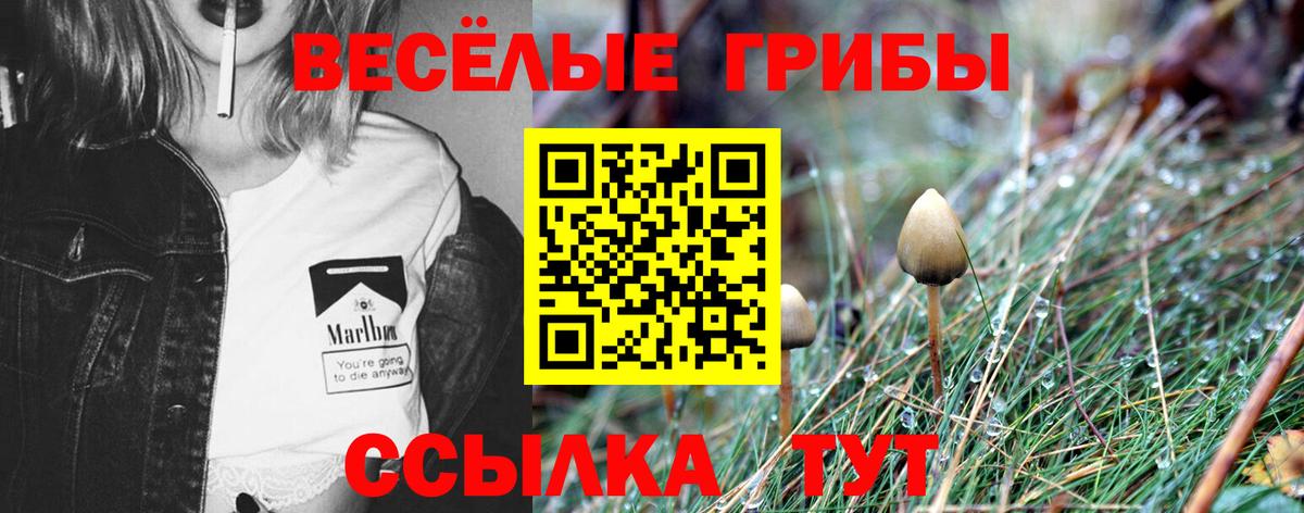 Галлюциногенные грибы Magic Shrooms Клин