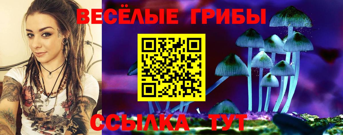 купить   Вход с VPN  Клин  Псилоцибиновые грибы Psilocybine cubensis 