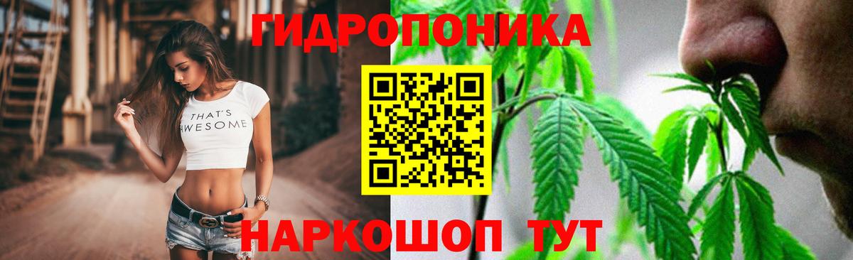 МАРИХУАНА OG Kush  Бошки Шишки планчик  Клин  Вход с VPN  Каннабис THC 21% 
